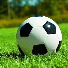 免费下载体彩足球比分查询工具